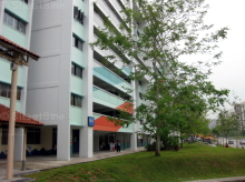 Blk 665 Hougang Avenue 4 (Hougang), HDB 4 Rooms #236642